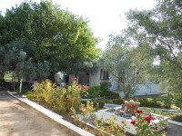 Bahce